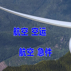 西昌航空快递快递-选东方航空和上海航空